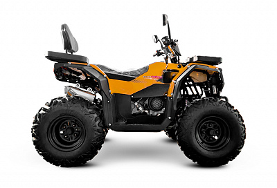 Квадроцикл PROGASI Race Jumper 200 Max Power